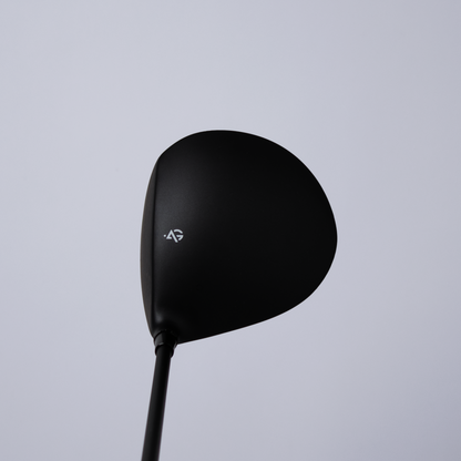 ACE TD1